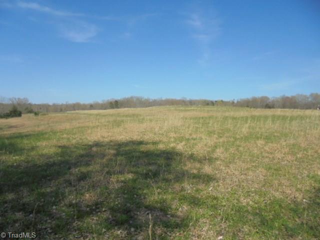 0 Adams Farm Road Randleman, NC 27317 - Photo 3 of 17 Gallery Image 3