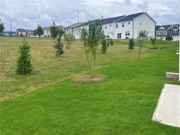a garden view with a fountain