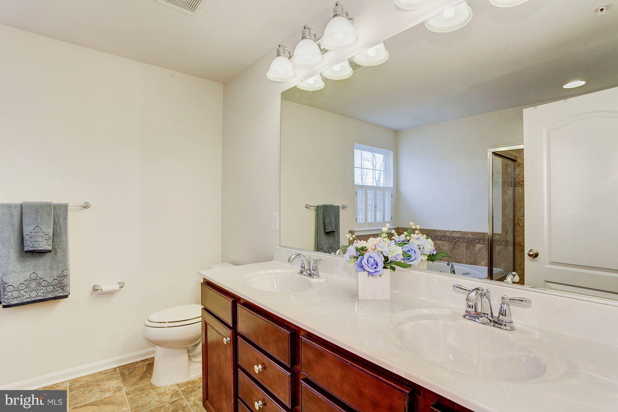 801 Salvatore Road Baltimore, MD 21220 - Photo 15 of 30 Bath (Master)