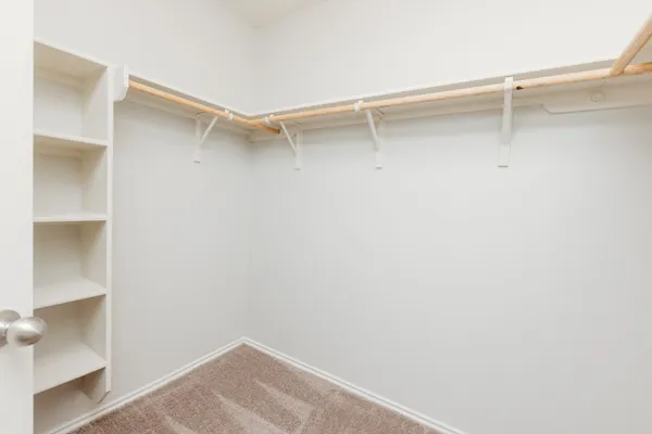 $1,775 | 225 Mossy Rock Drive, Hutto, TX 78634