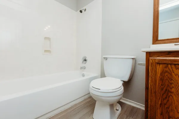 $1,775 | 225 Mossy Rock Drive, Hutto, TX 78634