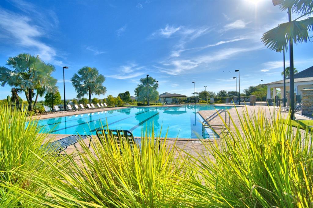 6286 Manitoba Drive Lakeland, FL 33805 - Photo 6 of 28 a view of swimming pool with outdoor seating and plants