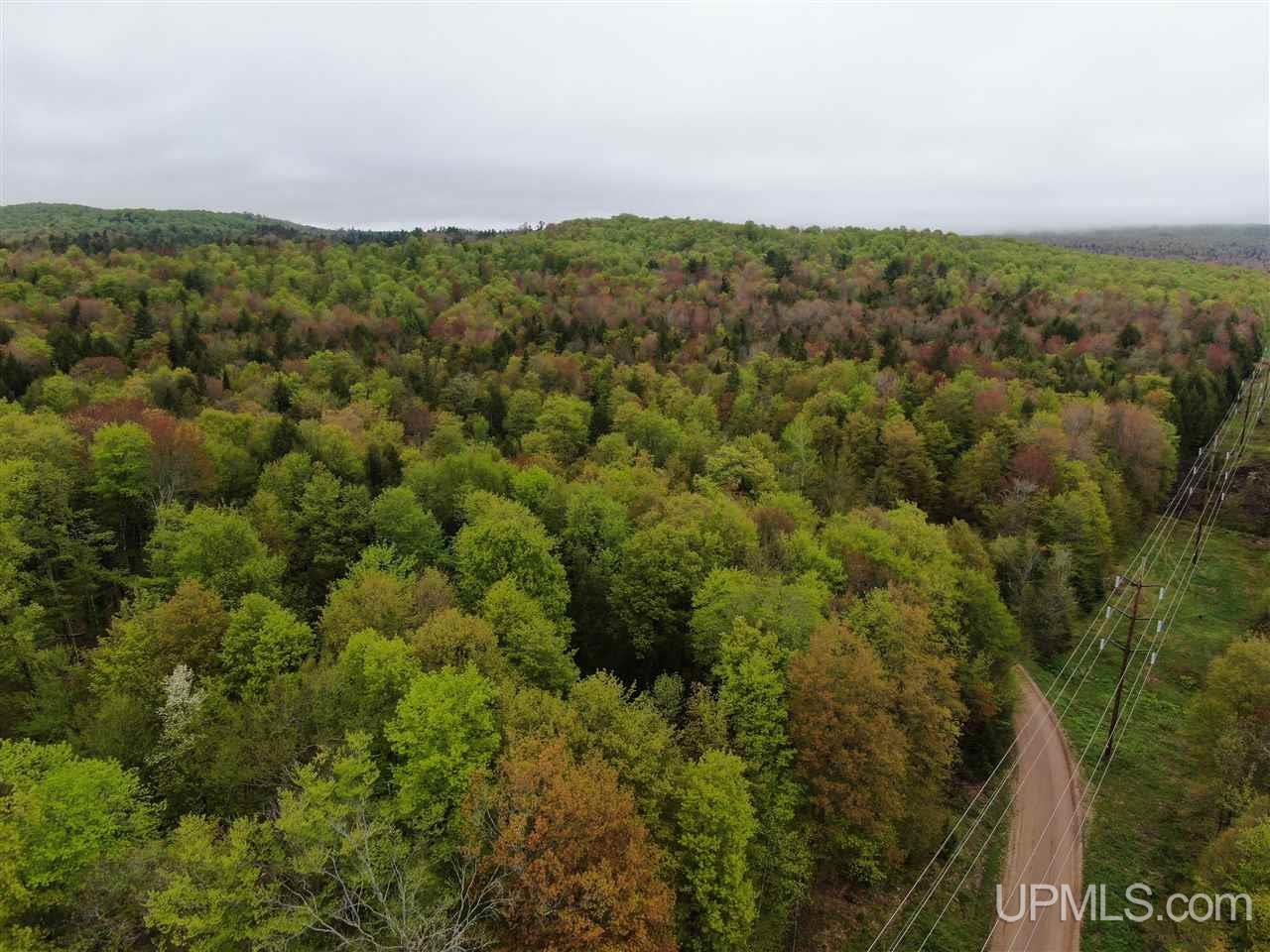 0 County Road 577 Road, Unit ANNA RIVER RDP Munising, MI 49862 - Photo 2 of 26