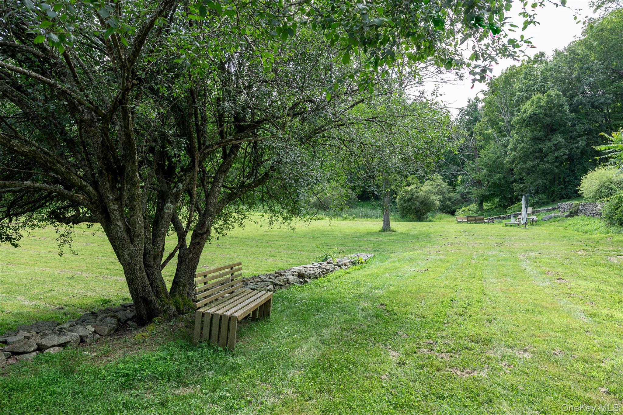 401 Woodmont Road Hopewell Junction, NY 12533 - Photo 43 of 50 a view of a garden with a tree
