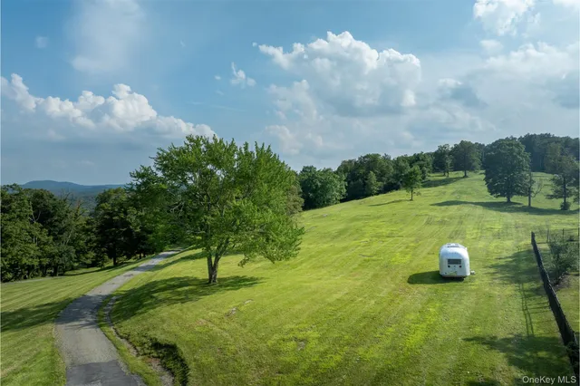 a view of a green yard with large trees