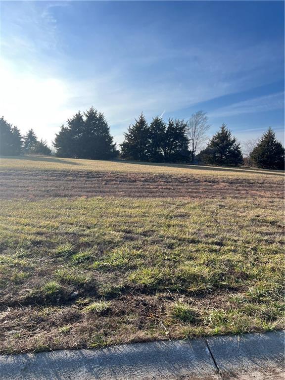 908 Captain Merriman Drive Freeman, MO 64746 - Photo 3 of 3