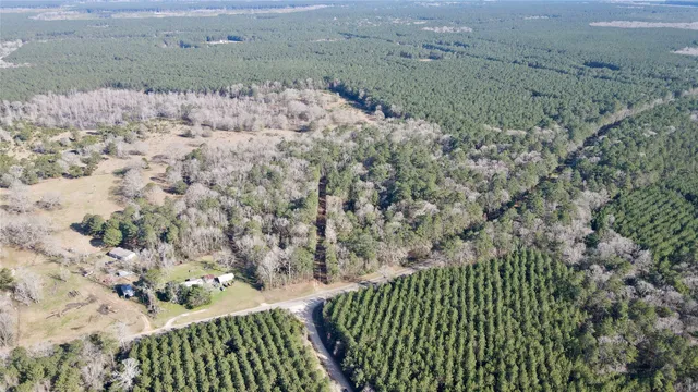 $90,000 | 0 Fm 2798, Livingston, TX 77351