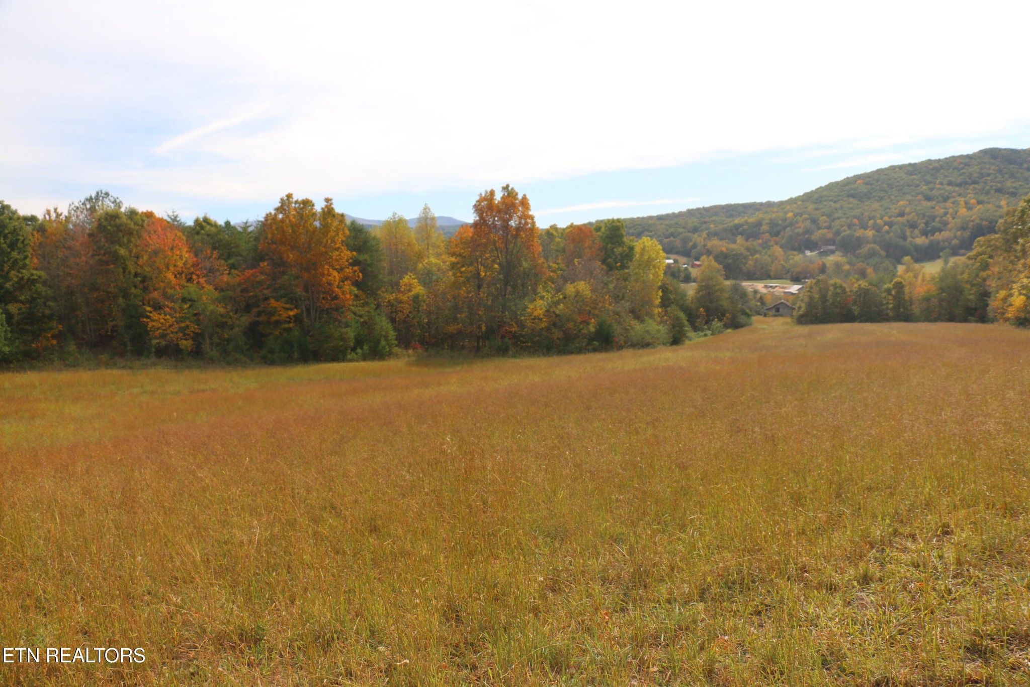 29 Ballplay Road Tellico Plains, TN 37385 - Photo 8 of 20