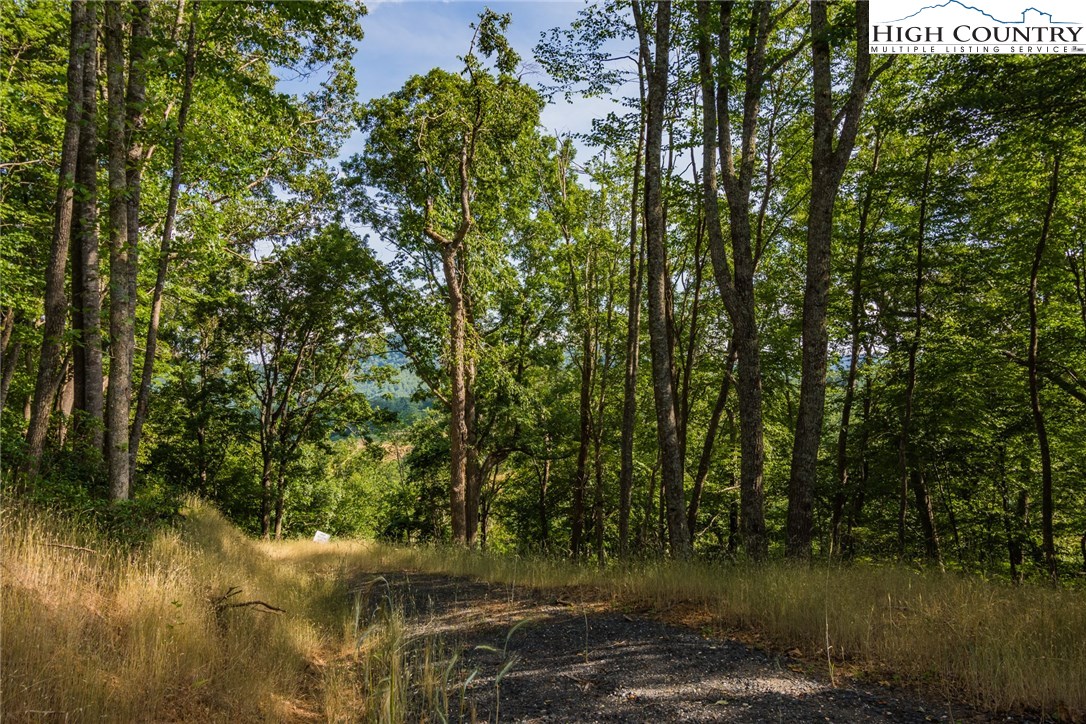 Lot 43 Rustic Road West Jefferson, NC 28694 - Photo 8 of 13 Gallery Image 8