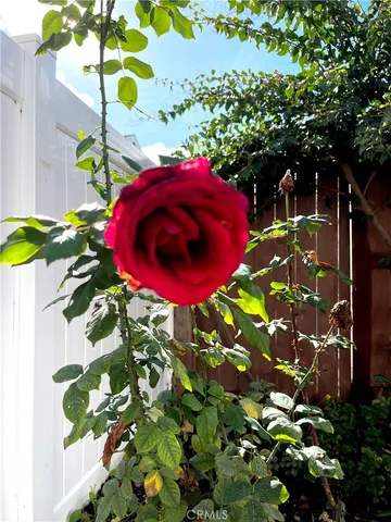 $4,400 | 25312 Cassandra Court, Mission Viejo, CA 92691