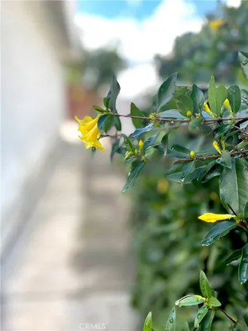 $4,400 | 25312 Cassandra Court, Mission Viejo, CA 92691