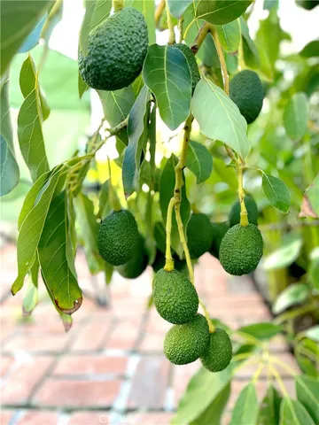 $4,400 | 25312 Cassandra Court, Mission Viejo, CA 92691