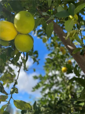 $4,400 | 25312 Cassandra Court, Mission Viejo, CA 92691