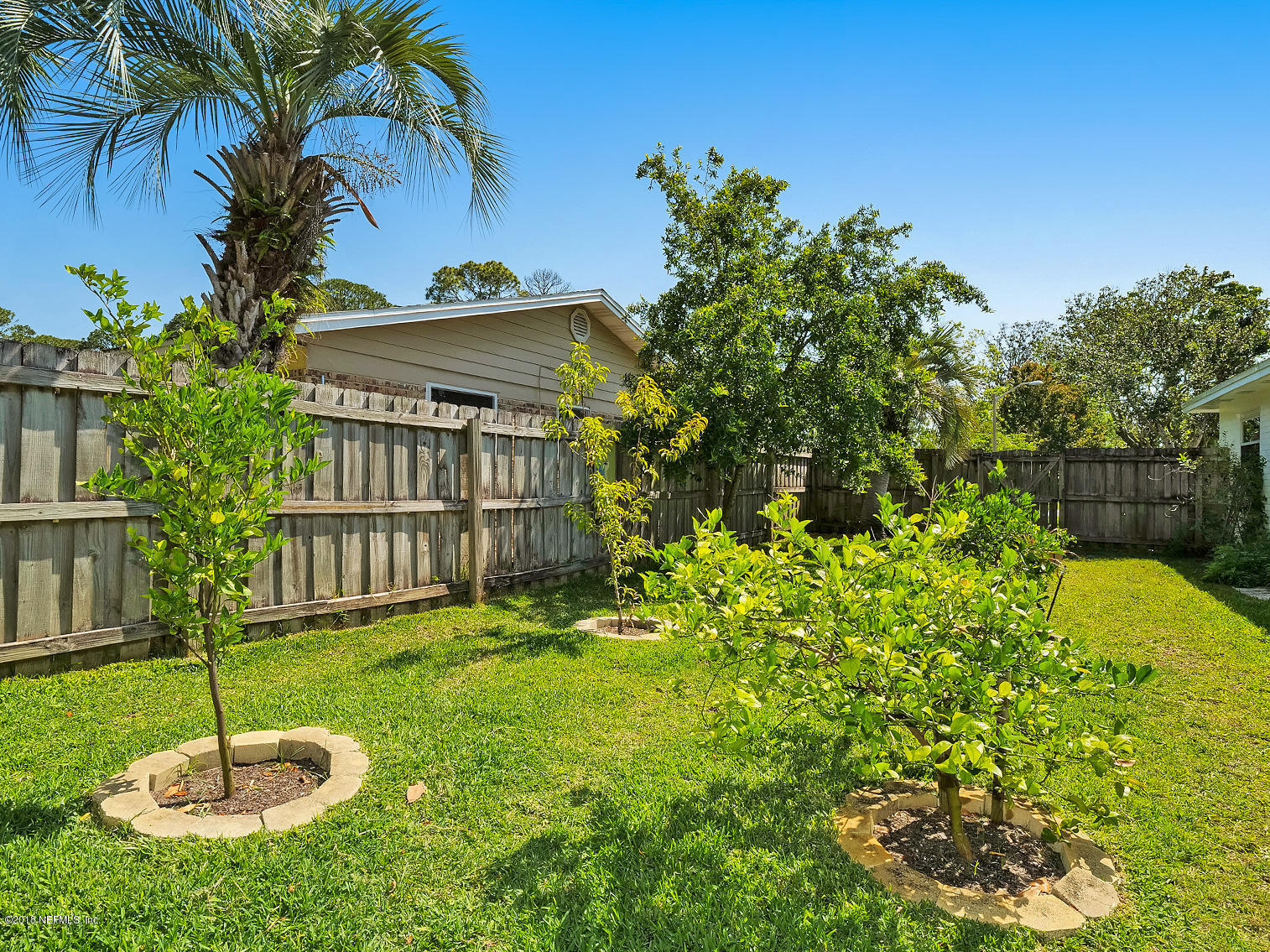 900 Lincoln Road Neptune Beach, FL 32266 - Photo 30 of 46 Fruit bearing trees