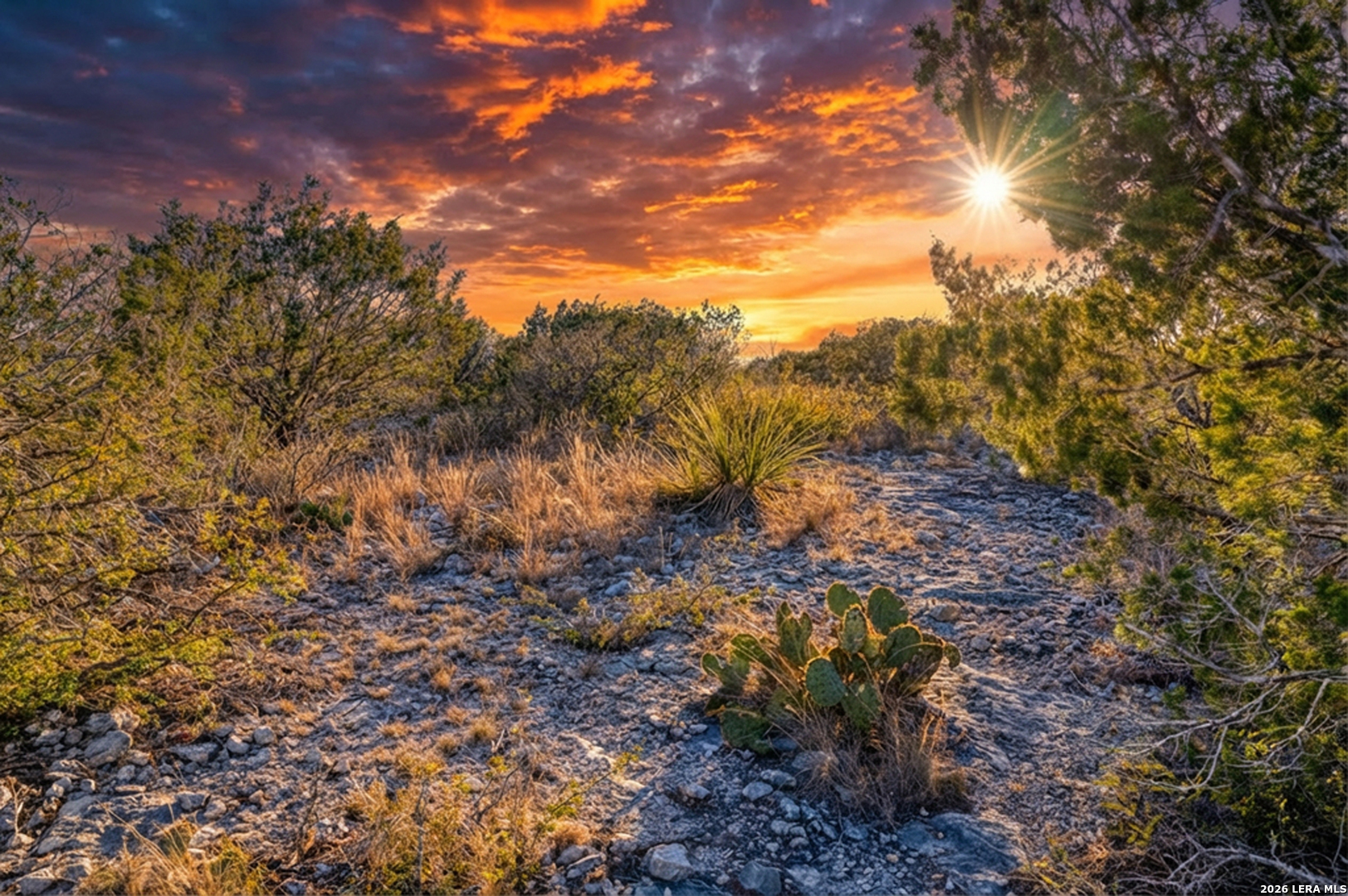 380 Doe Uvalde, TX 78801 - Photo 2 of 9