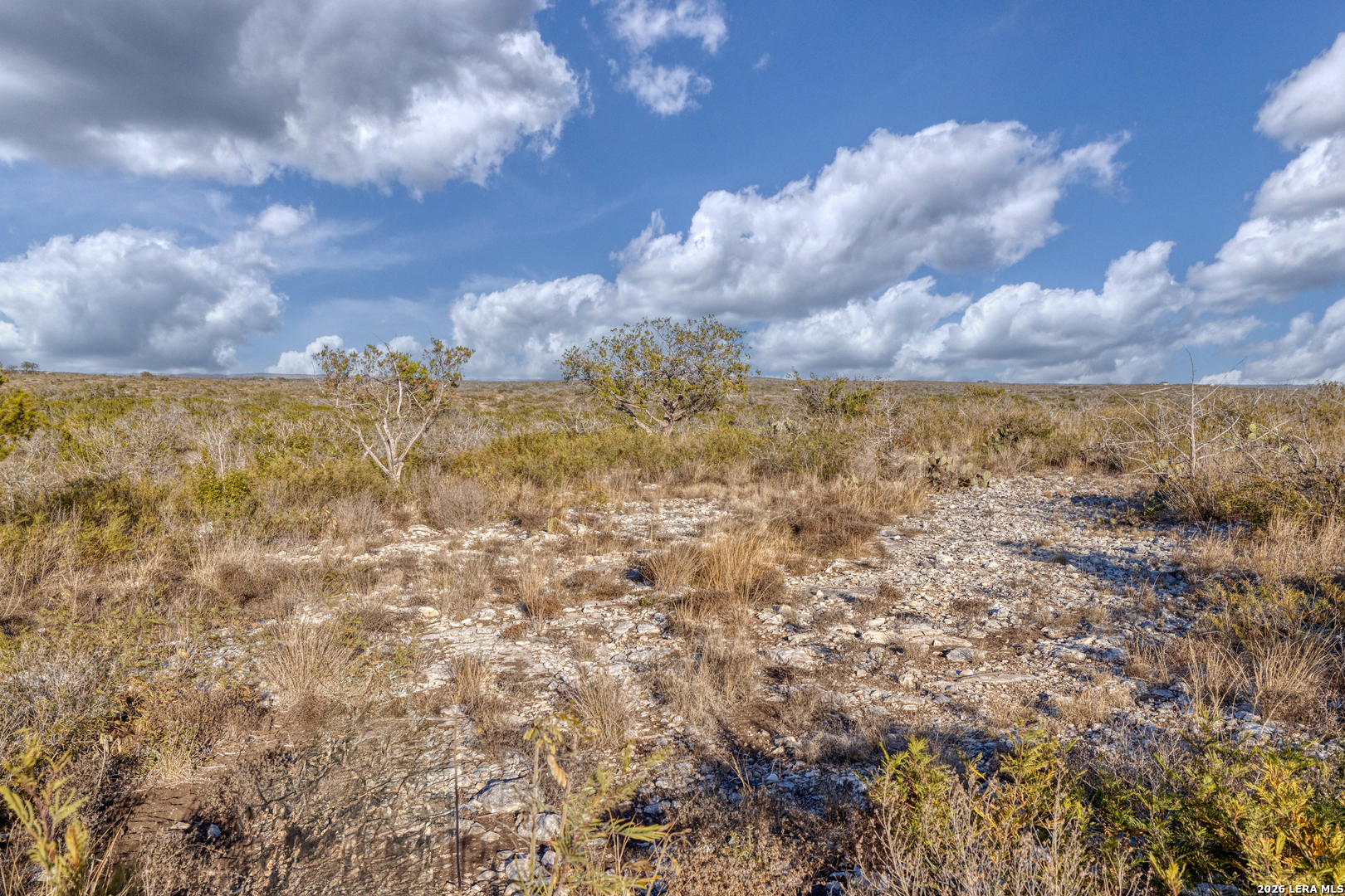 380 Doe Uvalde, TX 78801 - Photo 4 of 9