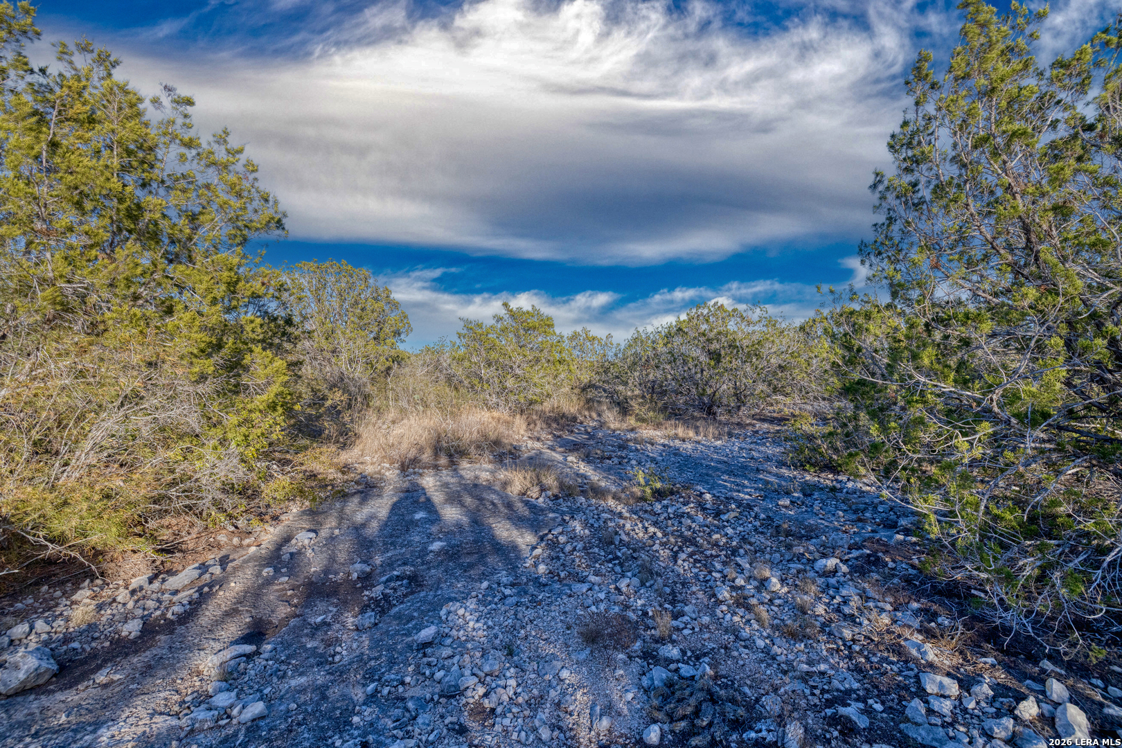 380 Doe Uvalde, TX 78801 - Photo 5 of 9
