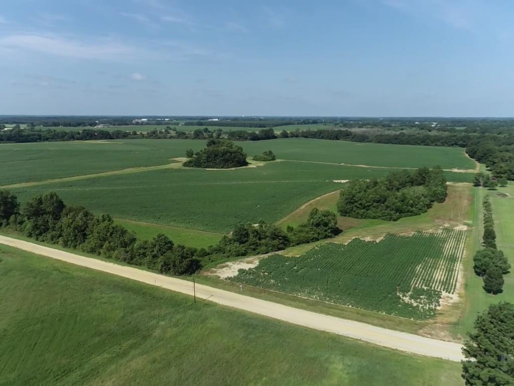 132.3-ac Green Road Dothan, AL 36303 - Photo 6 of 63