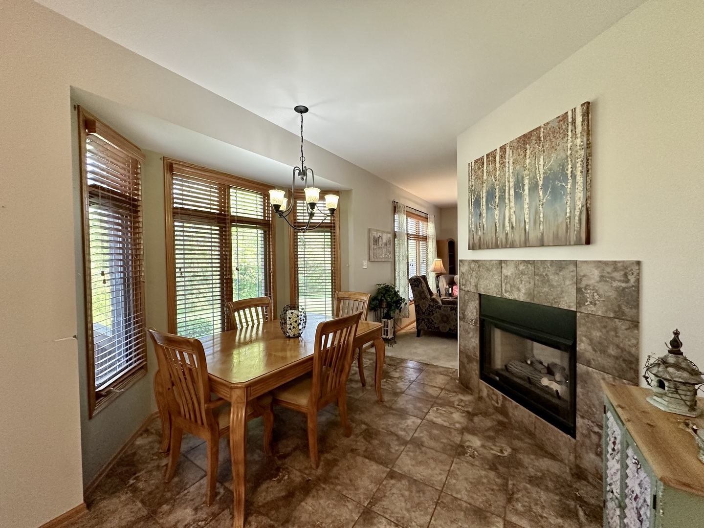 18743 Wren Circle Mokena, IL 60448 - Photo 7 of 25 a living room with furniture and a fireplace