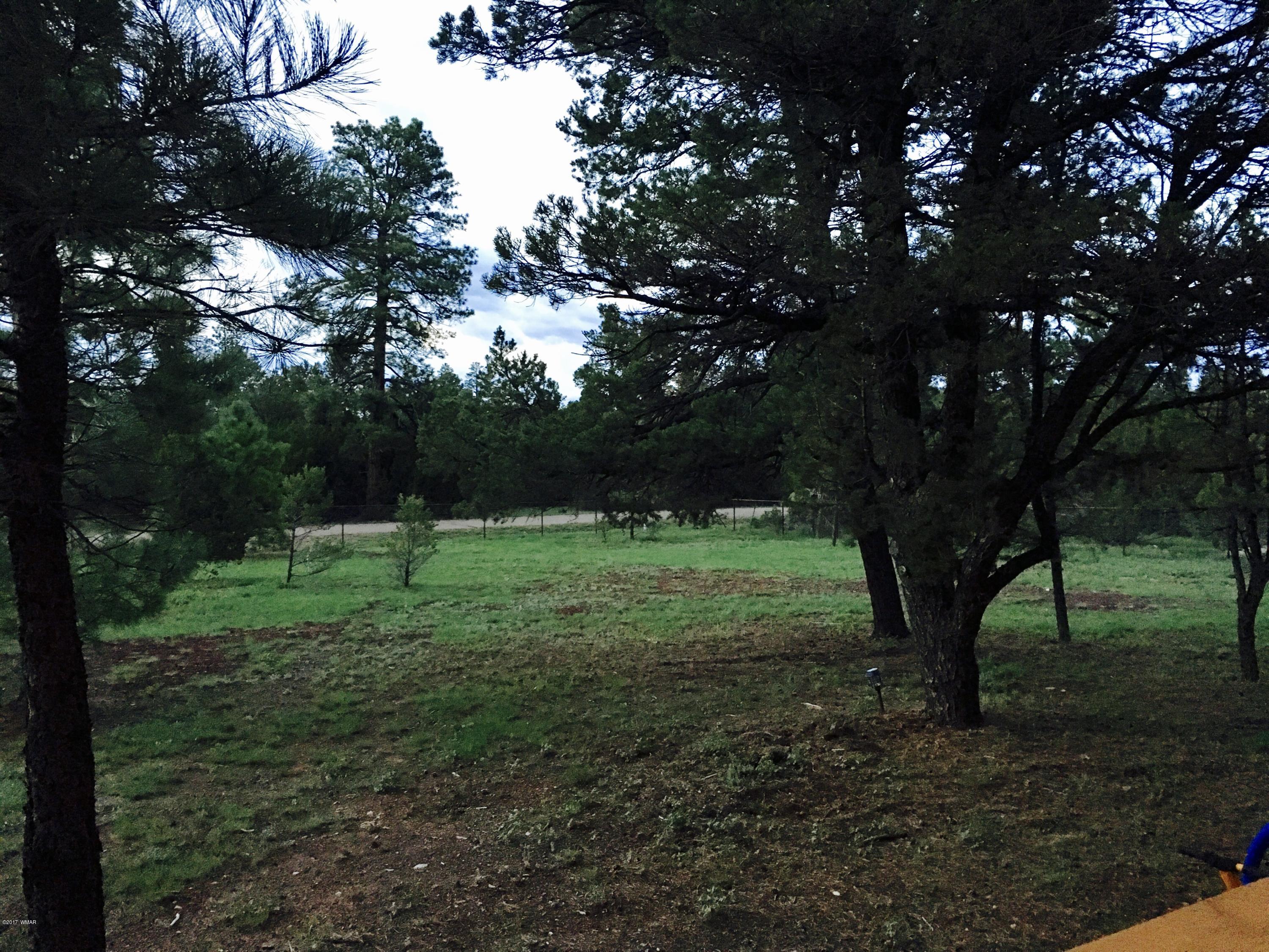 3033 A Aspen Road Overgaard, AZ 85933 - Photo 11 of 12
