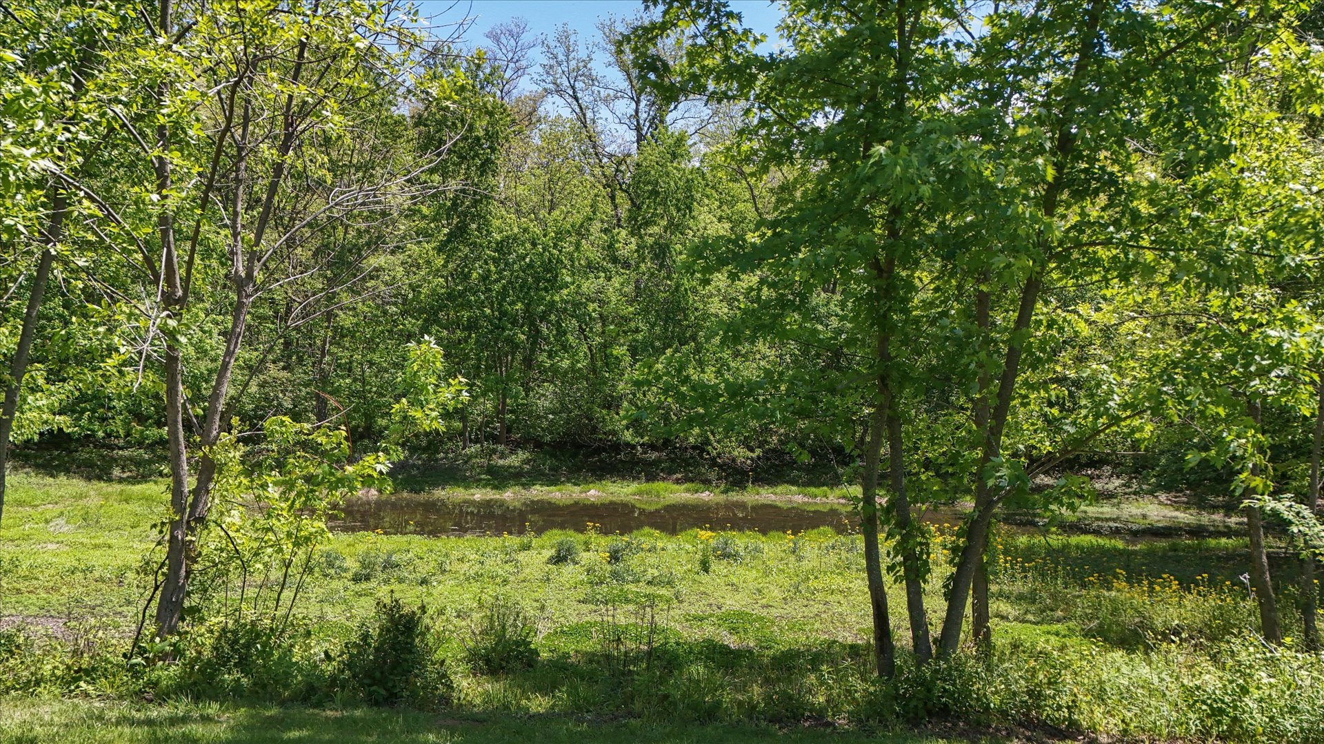 2431 North 1450 East Road Mansfield, IL 61854 - Photo 74 of 78