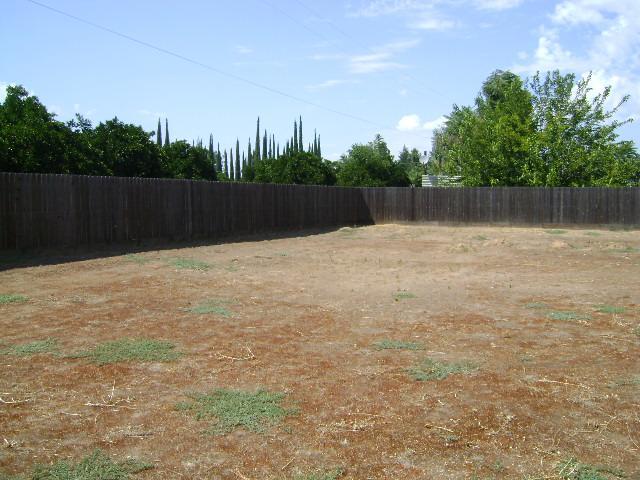 2377 North Thompson Avenue Reedley, CA 93654 - Photo 25 of 25 Gallery Image 25