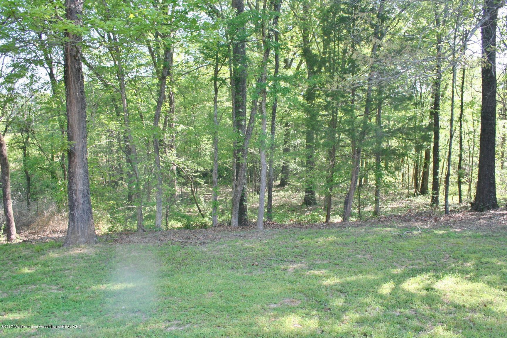 3771 Stage Road Coldwater, MS 38618 - Photo 35 of 36 IMG_6057