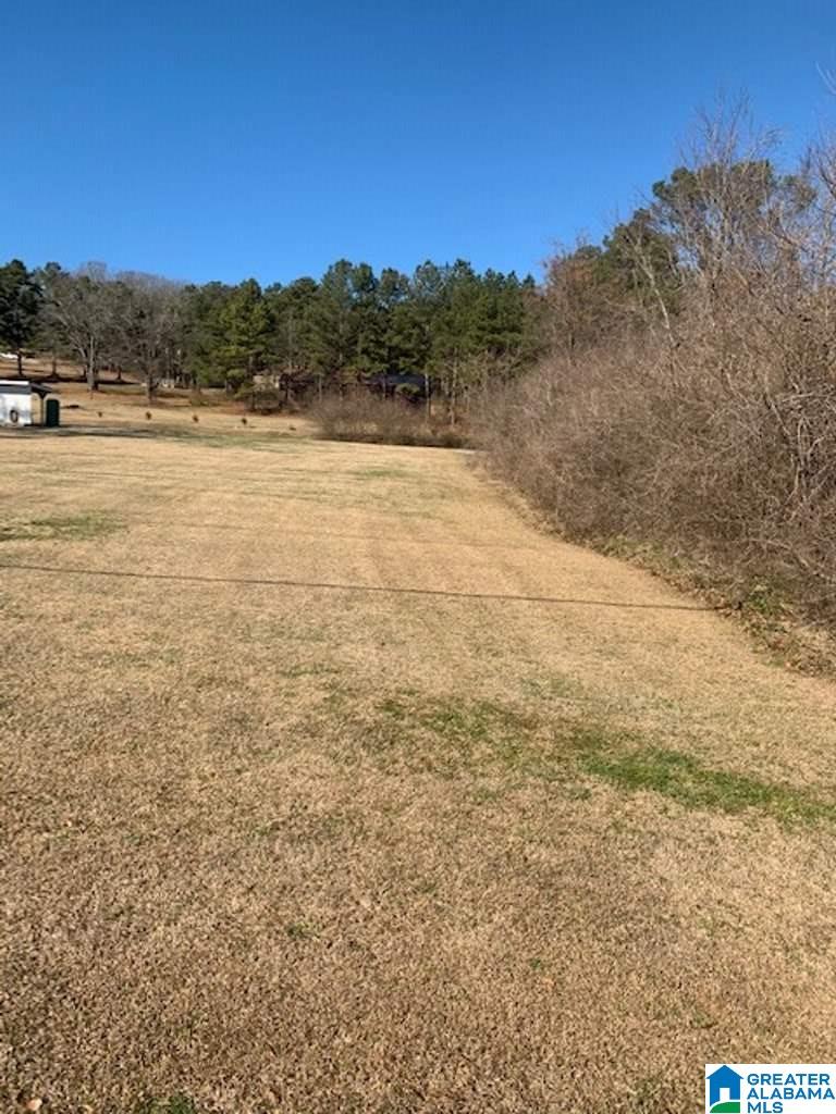 0 Highway 11 Springville Al, Unit 1 Springville, AL 35146 - Photo 3 of 5