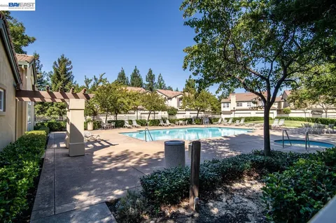 a view of a yard with plants and trees