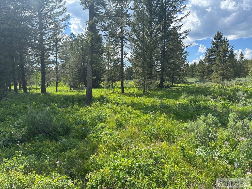 4095 Icehouse Crk Road Island Park, ID 83429 - Photo 2 of 3