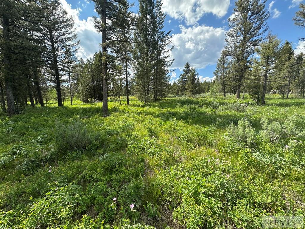 4095 Icehouse Crk Road Island Park, ID 83429 - Photo 3 of 3