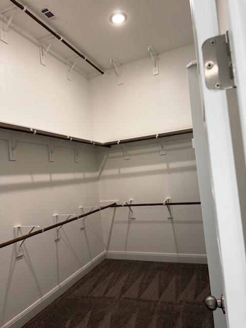 1432 Ridge Runner Drive Georgetown, TX 78628 - Photo 17 of 27 Walk in closet featuring triple handing bars with dark carpet