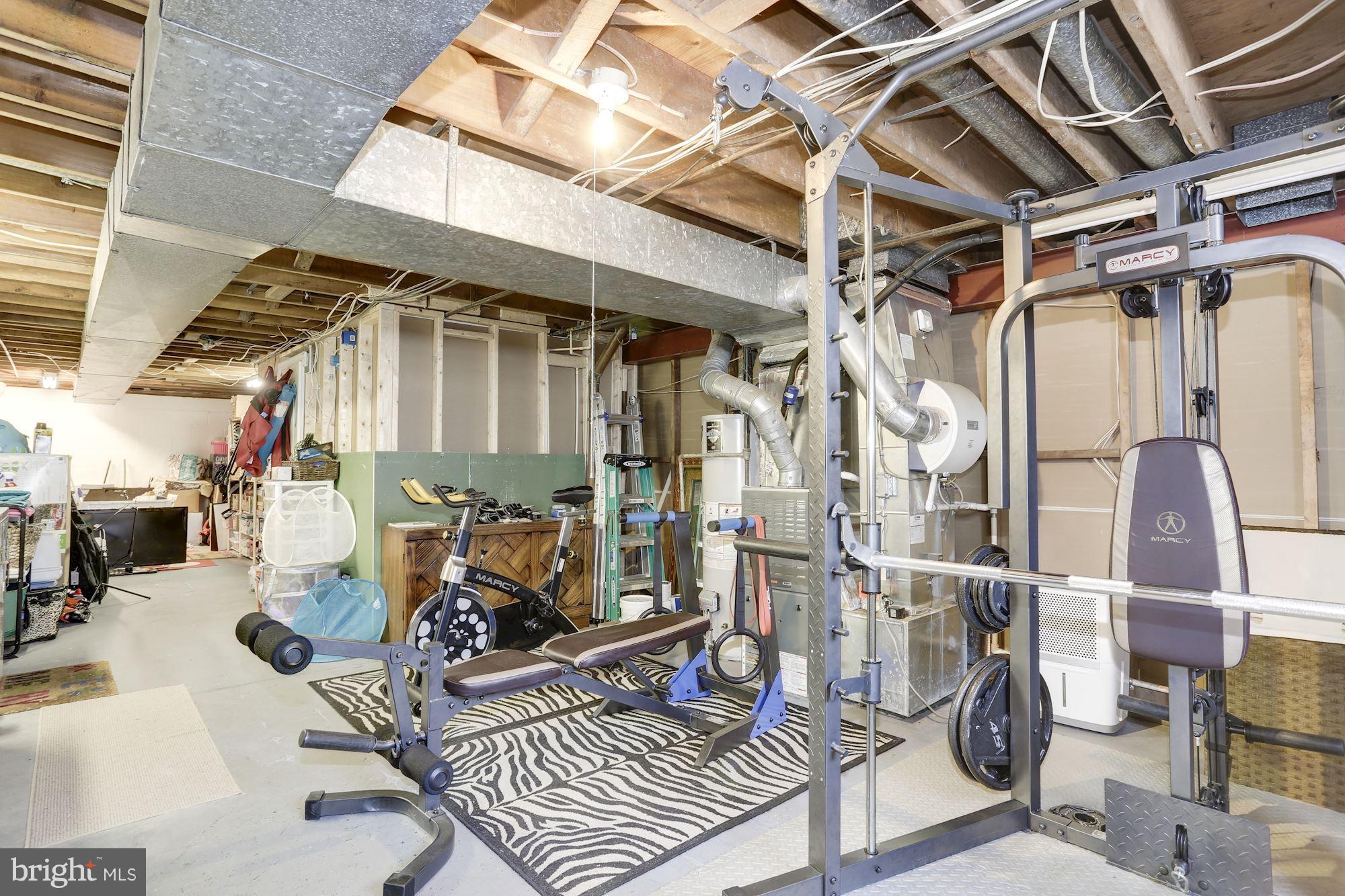 5404 Lightning View Road Columbia, MD 21045 - Photo 26 of 30 Endless storage...even room for a home gym!