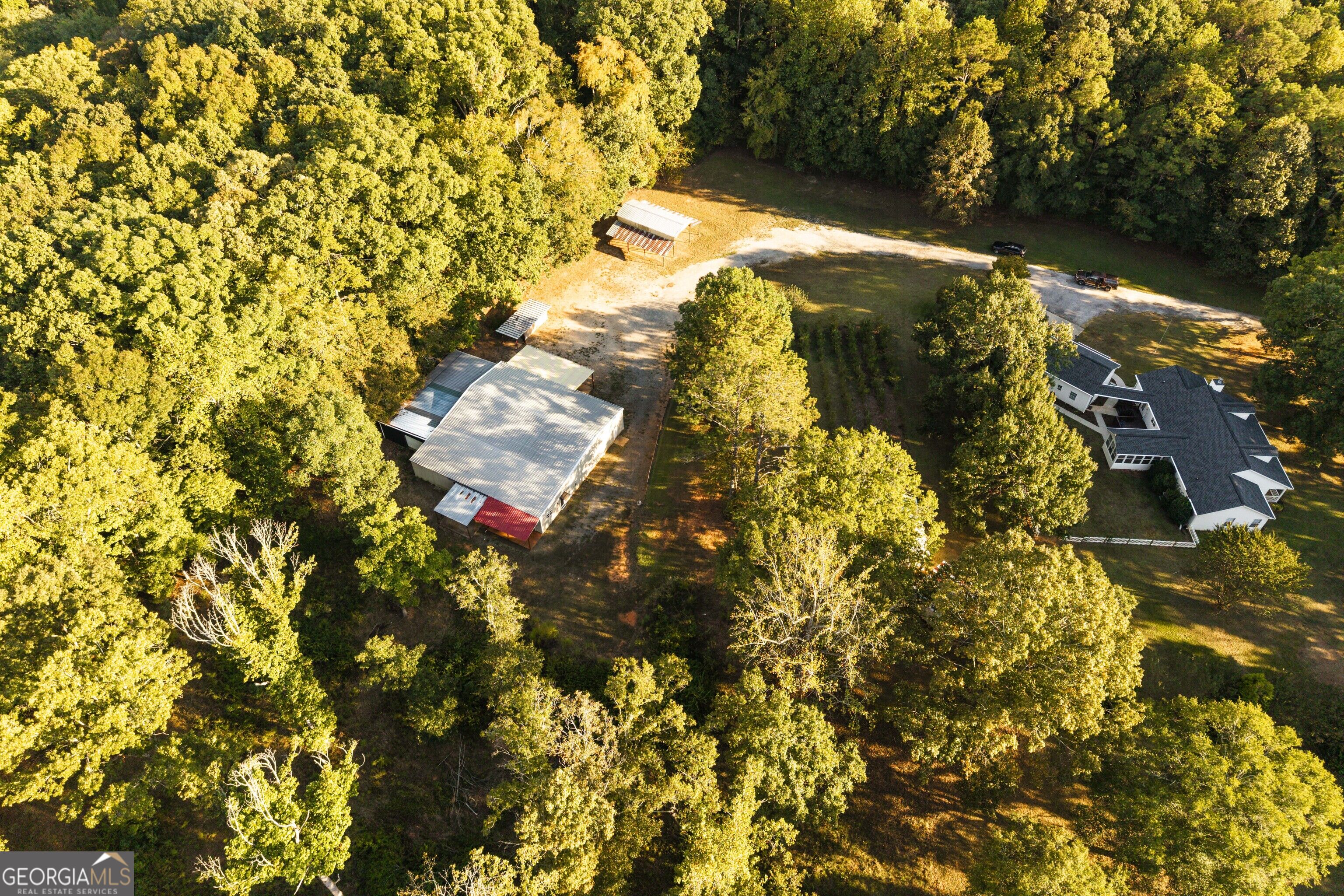 1650 Pierce Dairy Road Madison, GA 30650 - Photo 120 of 128 Gallery Image 120