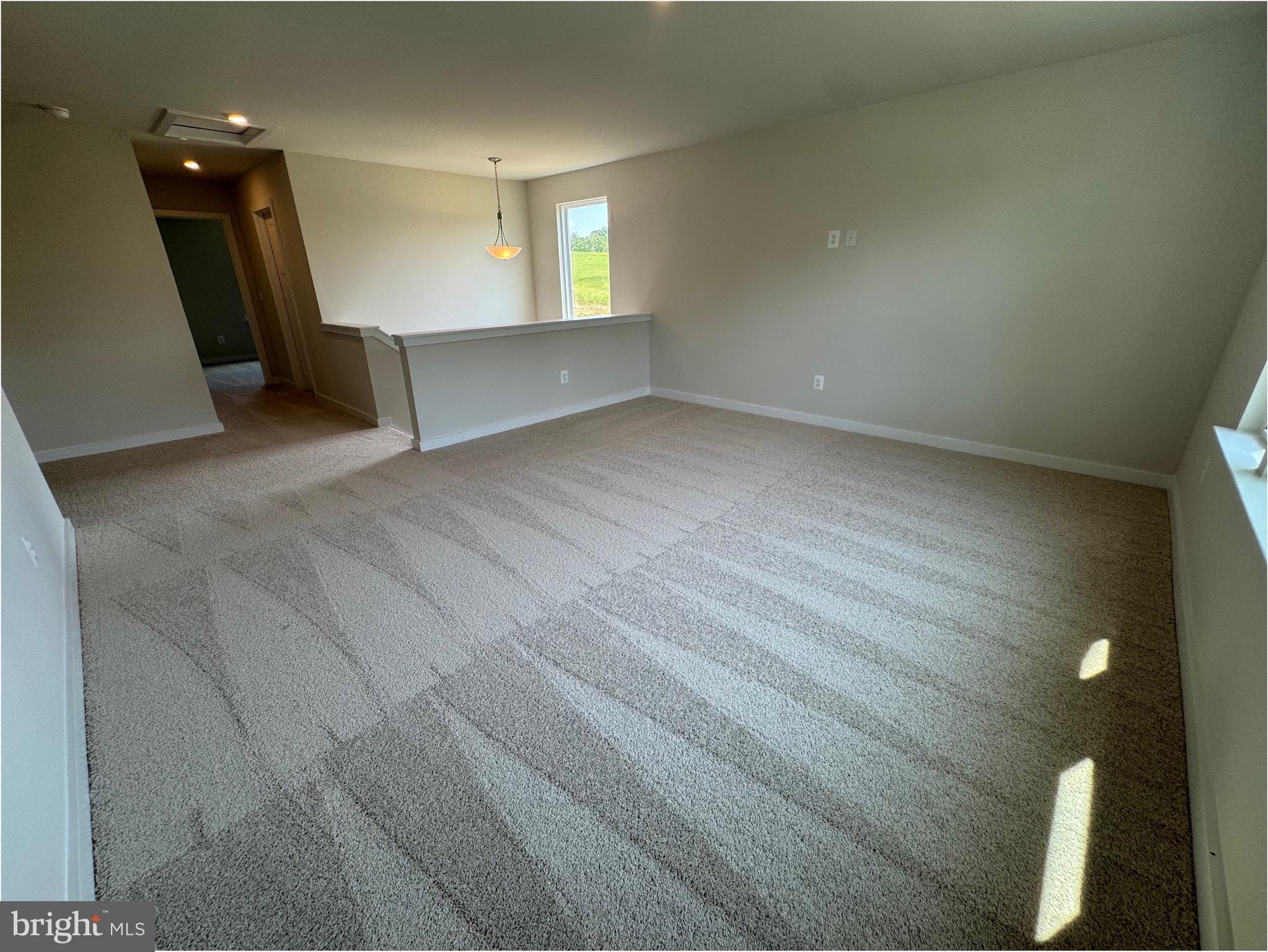 9117 Bell Mare Lane Rixeyville, VA 22737 - Photo 22 of 39