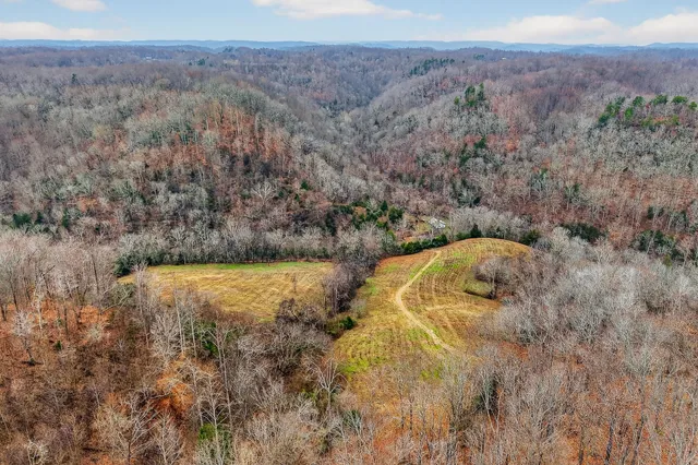 a view of a yard with trees