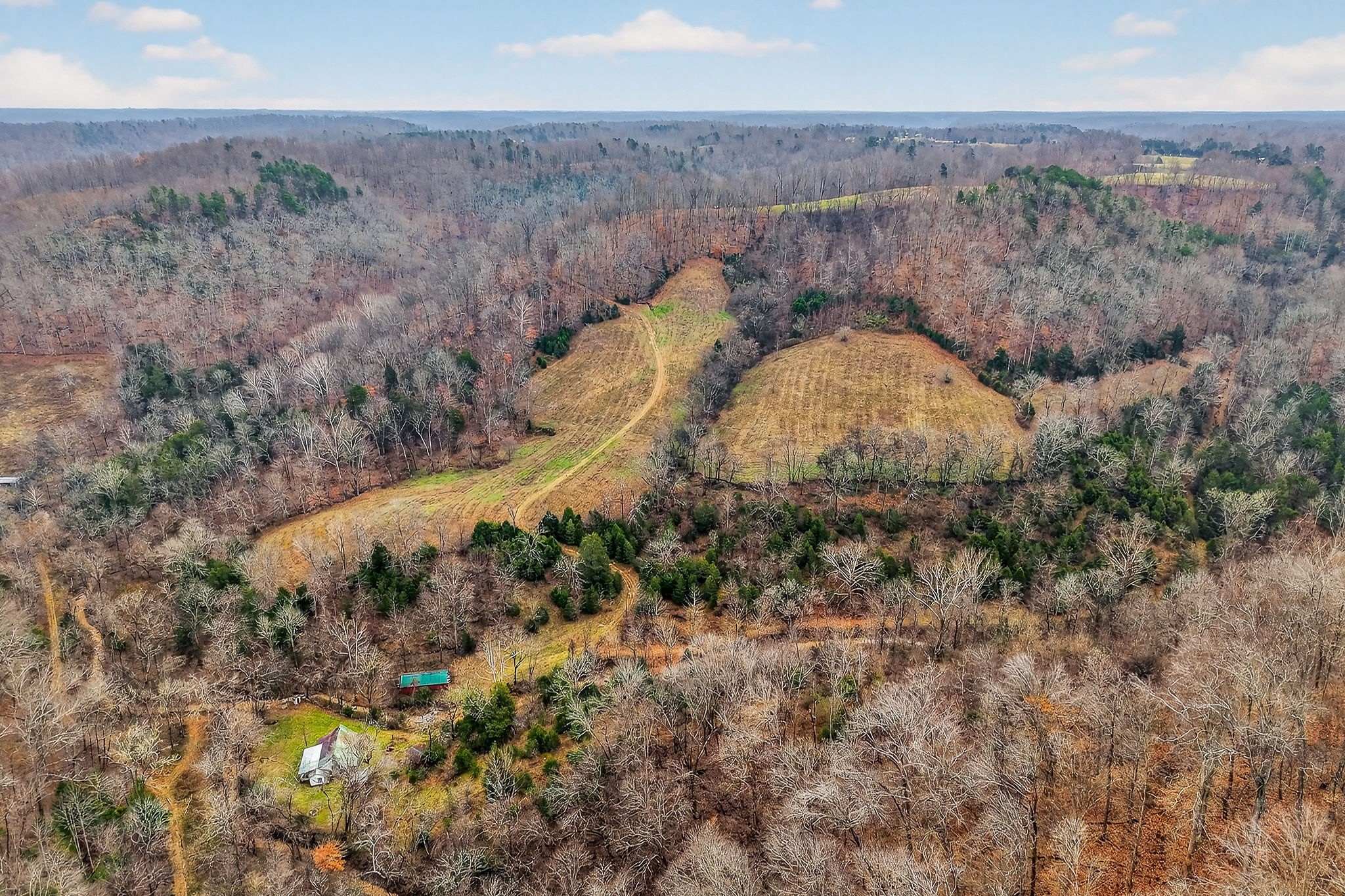 2578 Pea Ridge Road Liberty, TN 37095 - Photo 12 of 48 a view of a yard