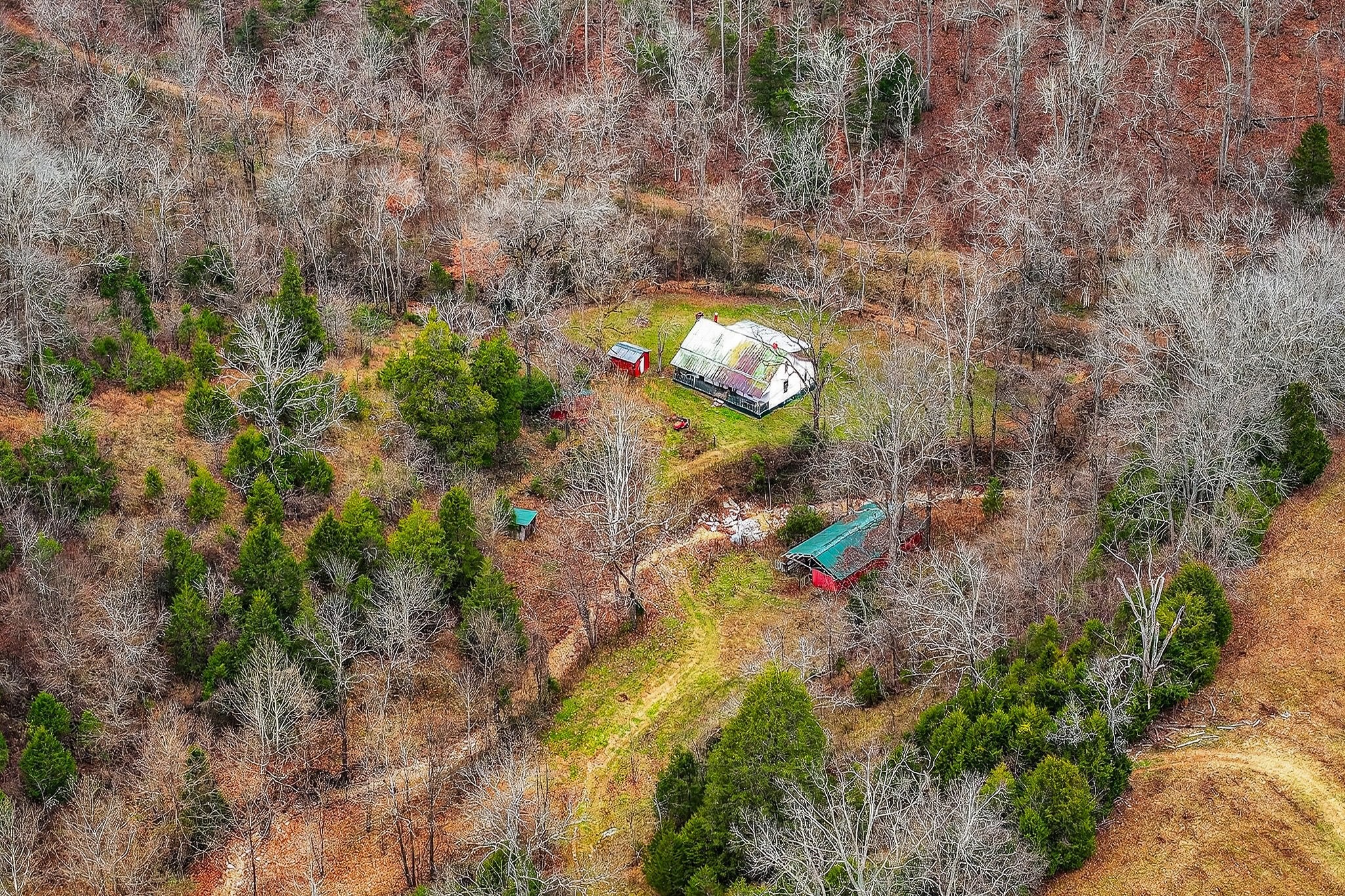2578 Pea Ridge Road Liberty, TN 37095 - Photo 14 of 48 a view of a yard with trees