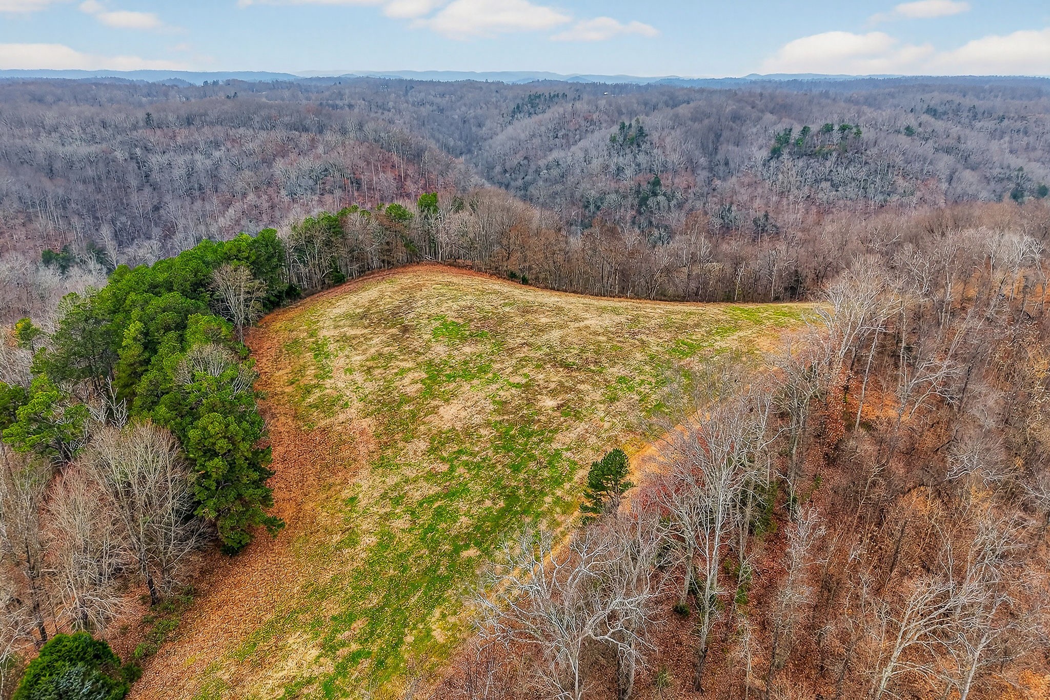 2578 Pea Ridge Road Liberty, TN 37095 - Photo 17 of 48 a view of swimming pool and mountain in the back