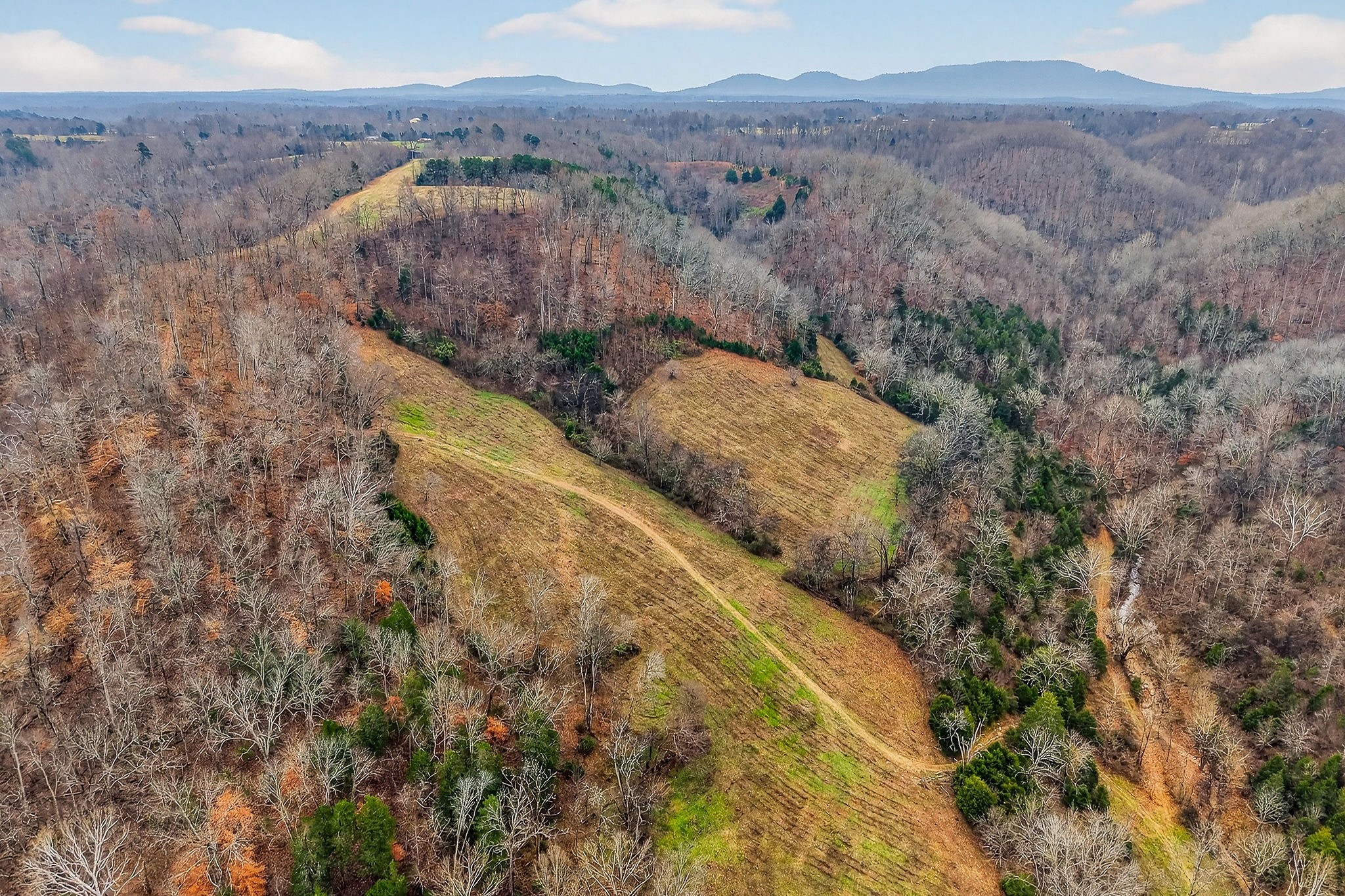 2578 Pea Ridge Road Liberty, TN 37095 - Photo 20 of 48 a view of a dry yard with green space