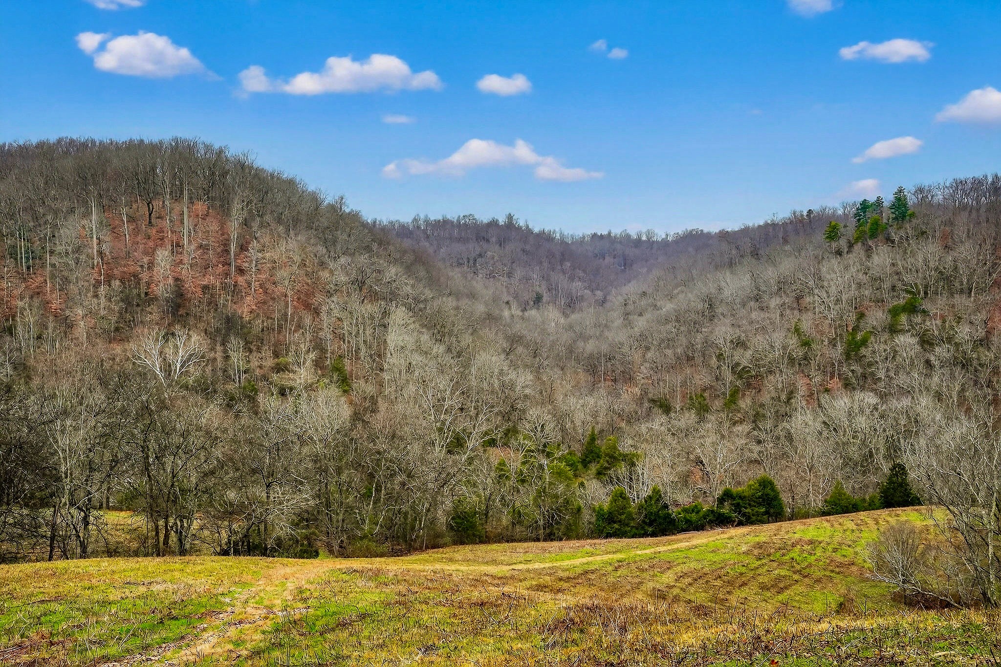 2578 Pea Ridge Road Liberty, TN 37095 - Photo 2 of 48 a view of a yard with an outdoor space