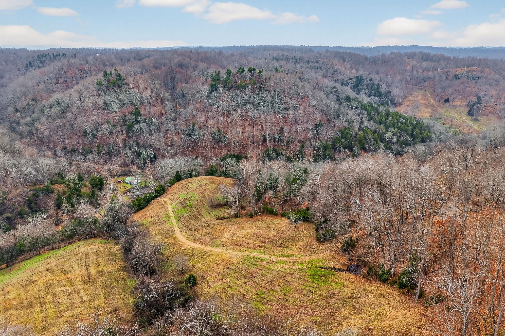 2578 Pea Ridge Road Liberty, TN 37095 - Photo 21 of 48
