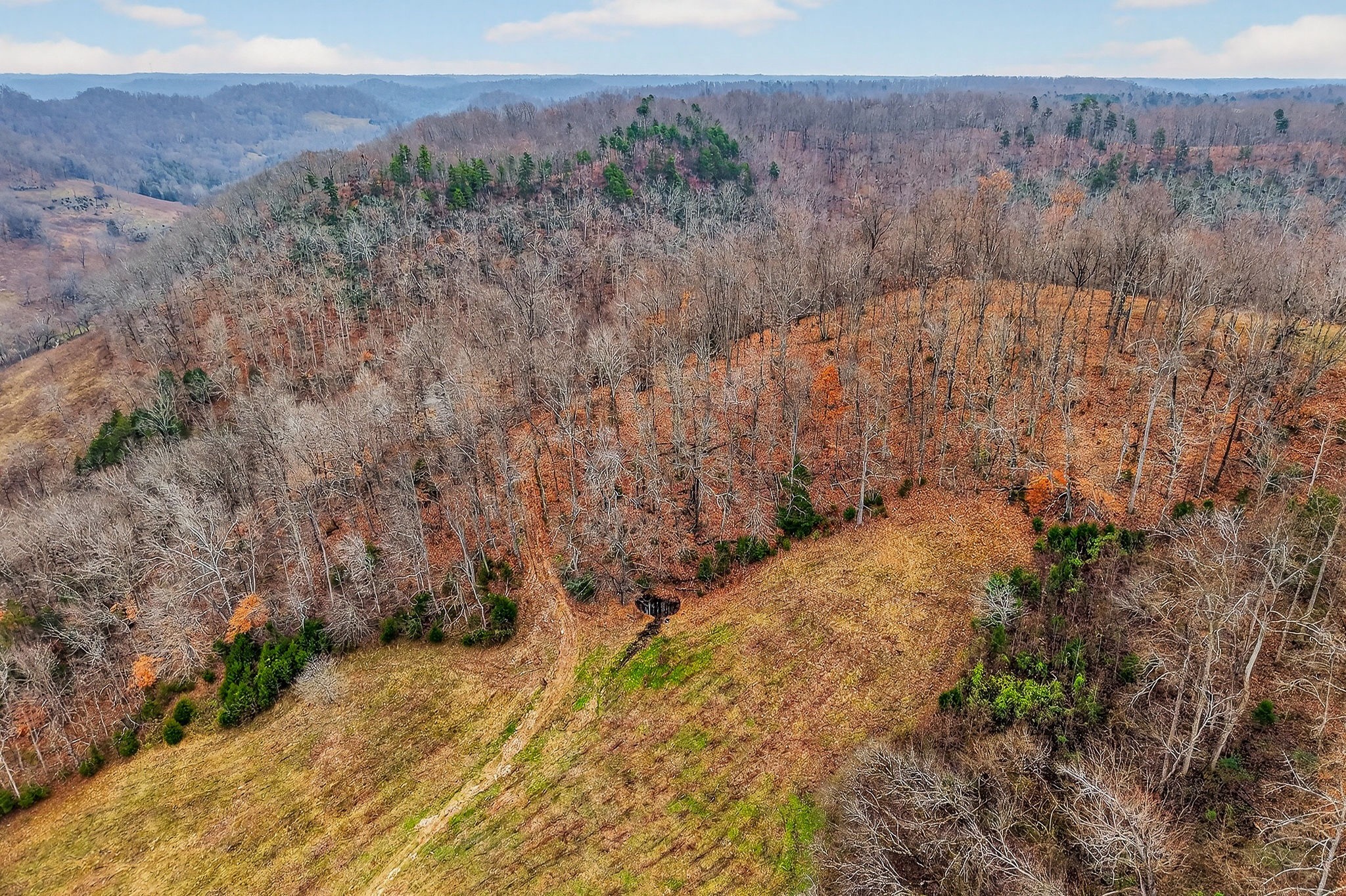 2578 Pea Ridge Road Liberty, TN 37095 - Photo 26 of 48 a view of a dry yard with green space