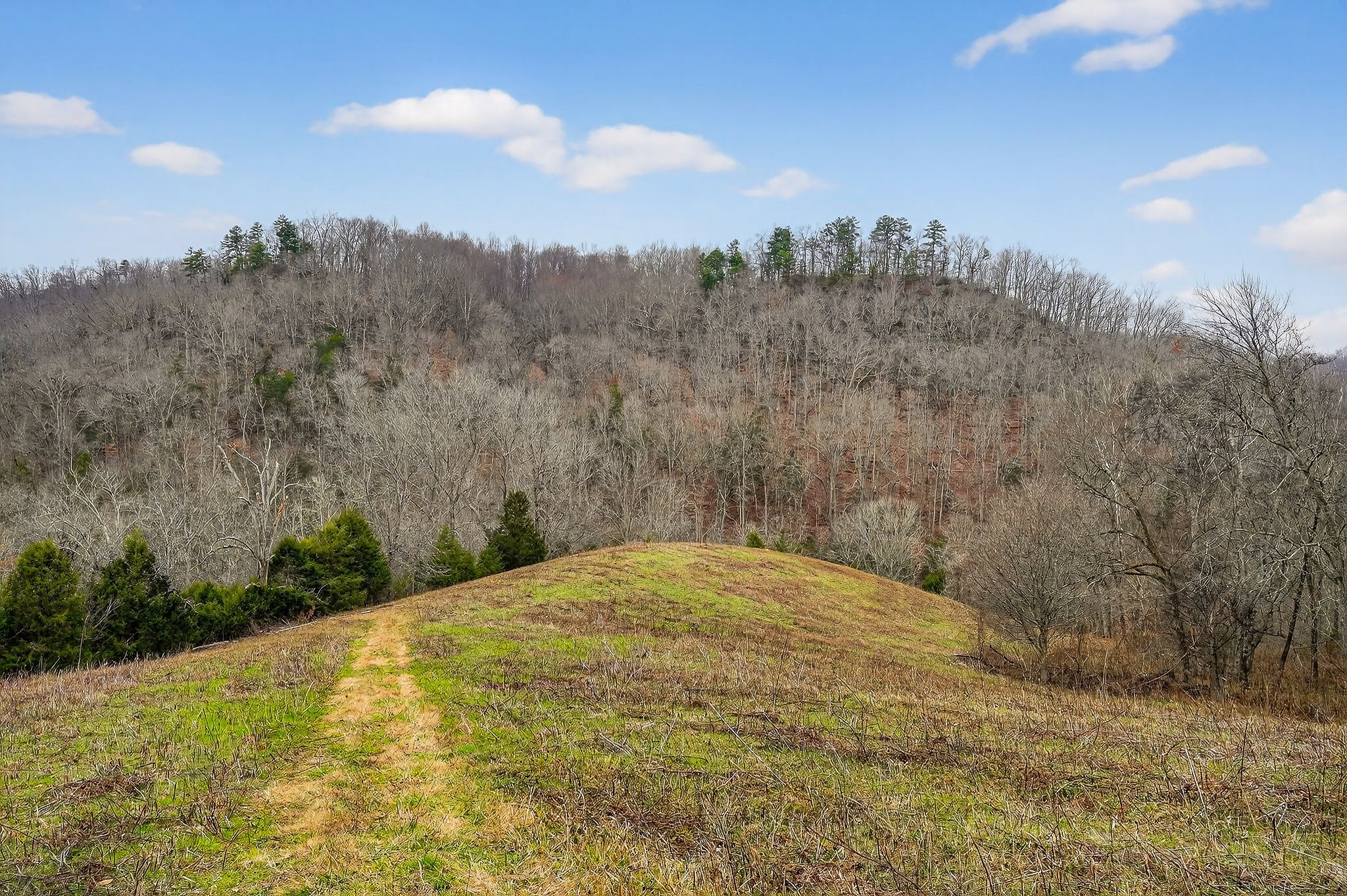 2578 Pea Ridge Road Liberty, TN 37095 - Photo 28 of 48