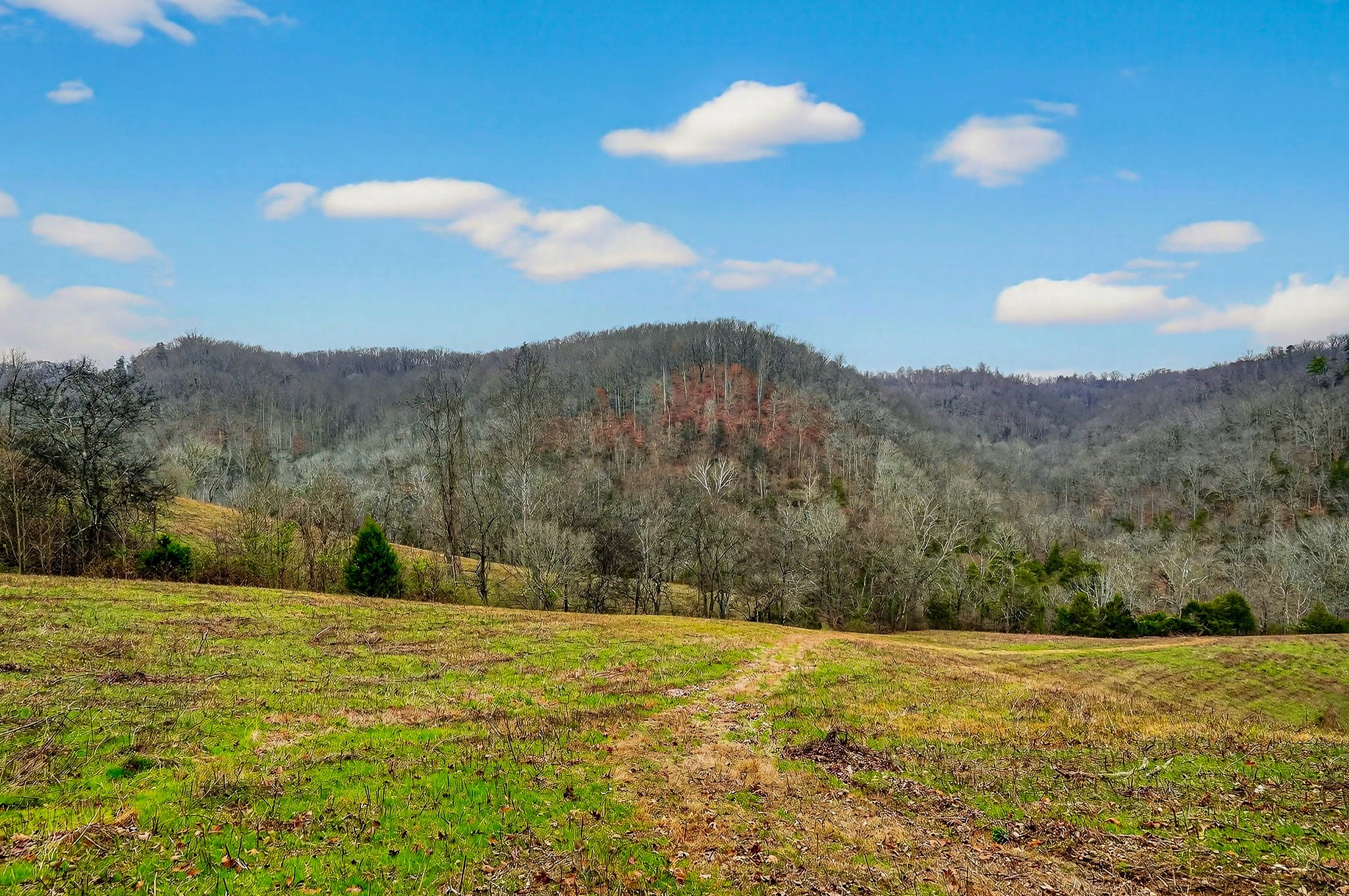 2578 Pea Ridge Road Liberty, TN 37095 - Photo 29 of 48 a view of an outdoor space and a yard