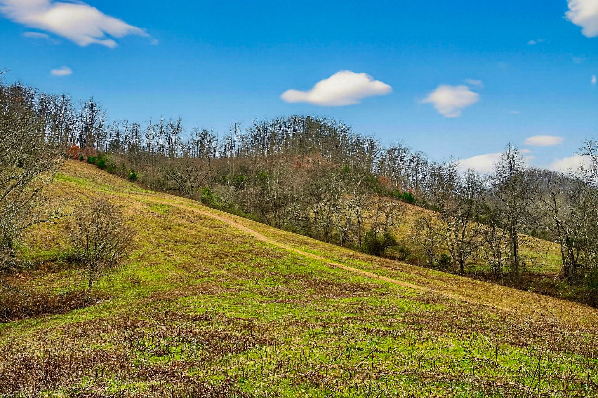 2578 Pea Ridge Road Liberty, TN 37095 - Photo 30 of 48 a view of a yard with a swimming pool