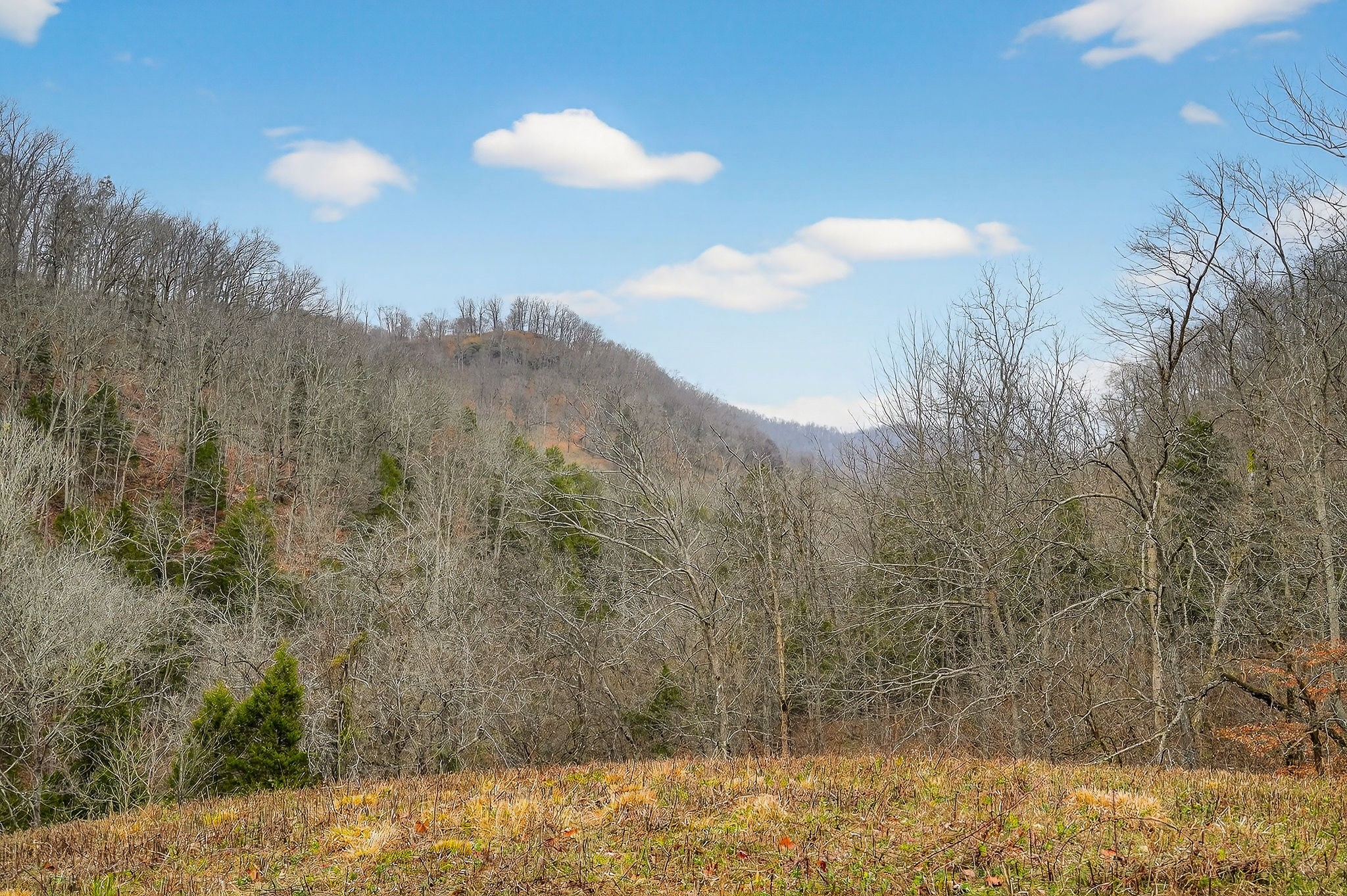 2578 Pea Ridge Road Liberty, TN 37095 - Photo 31 of 48 a view of lake and mountain