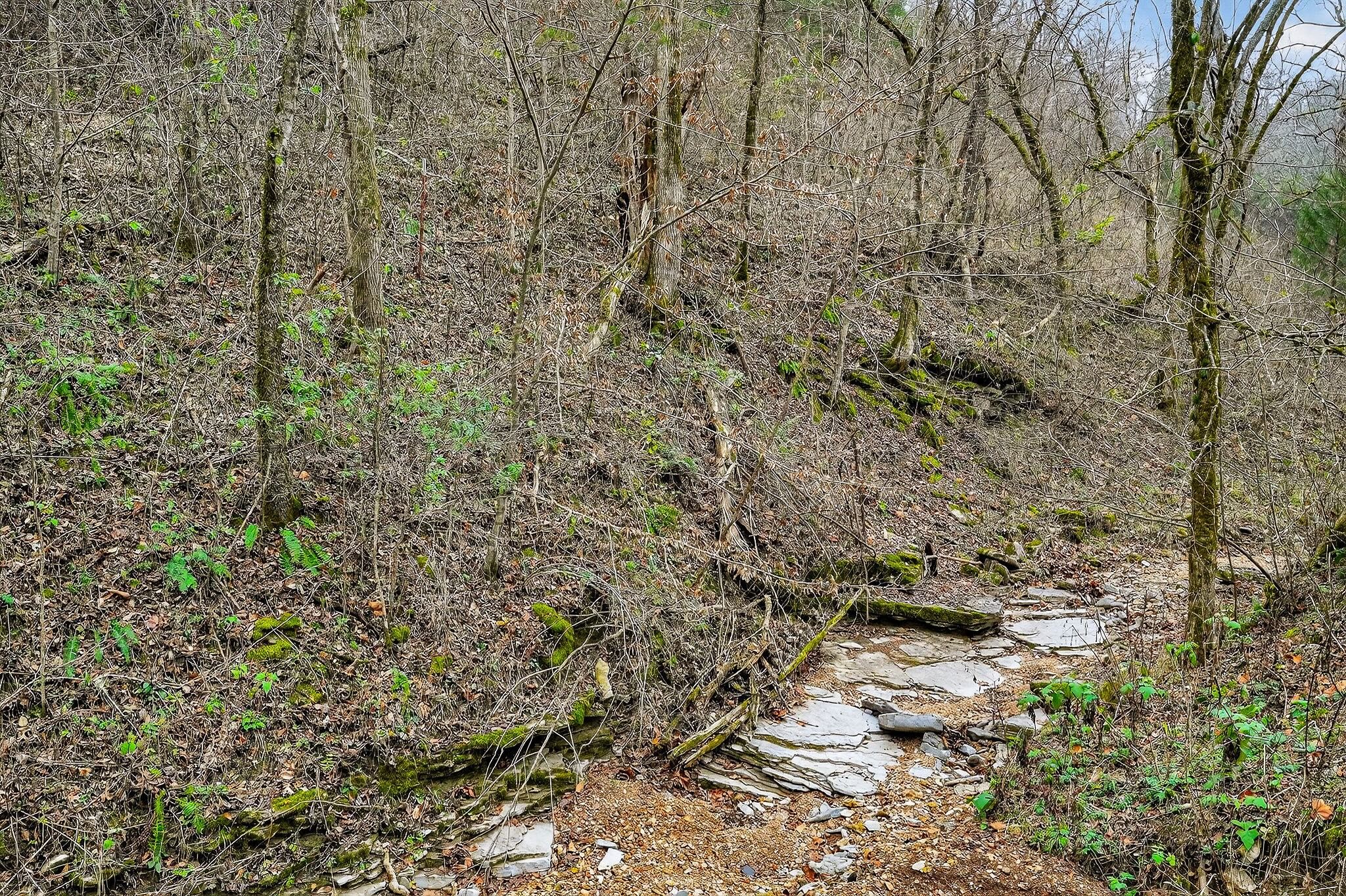 2578 Pea Ridge Road Liberty, TN 37095 - Photo 32 of 48 a view of a pathway of a yard