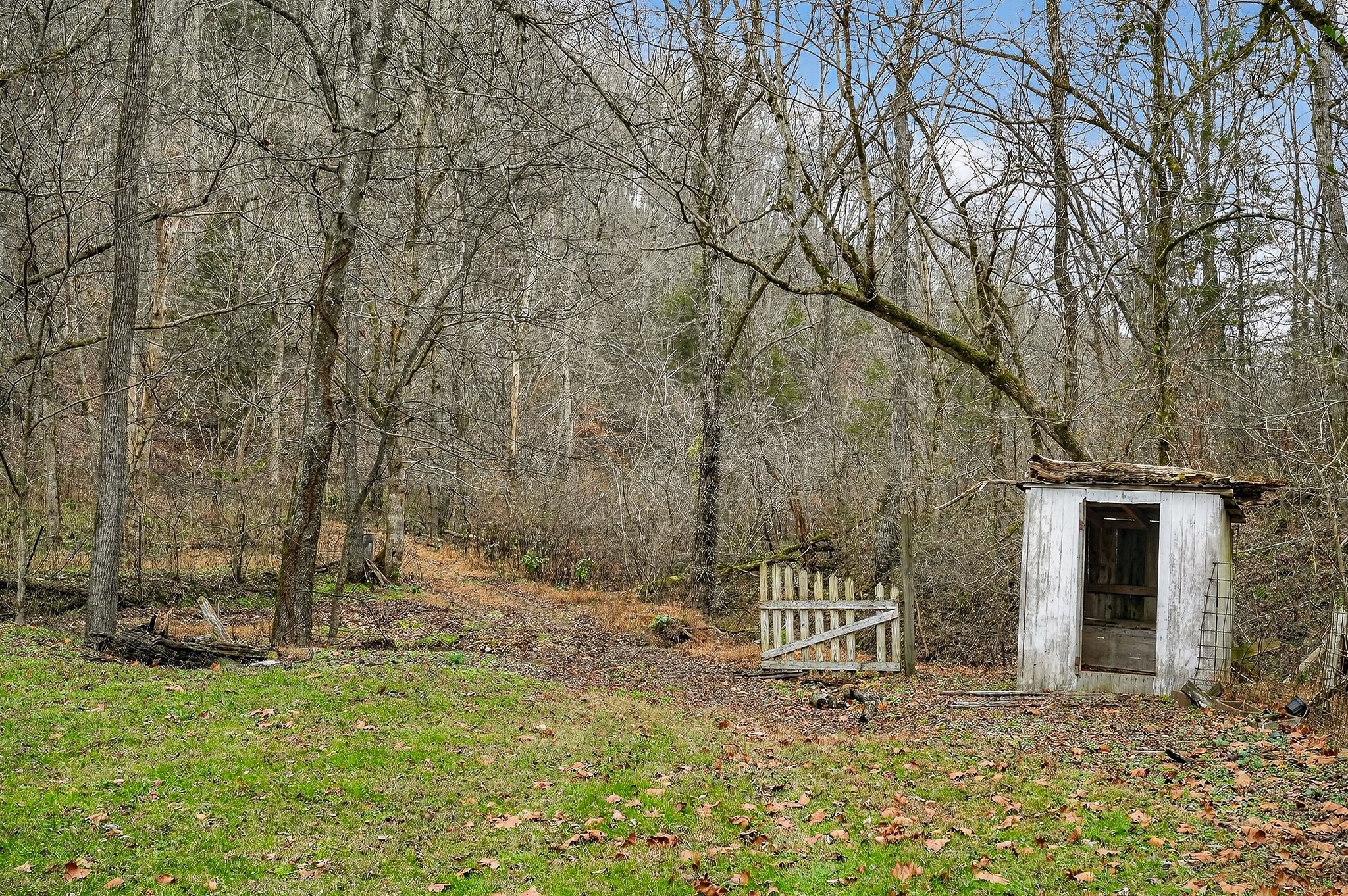 2578 Pea Ridge Road Liberty, TN 37095 - Photo 35 of 48 a garden with trees in front of it