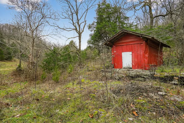 a view of a yard with a tree